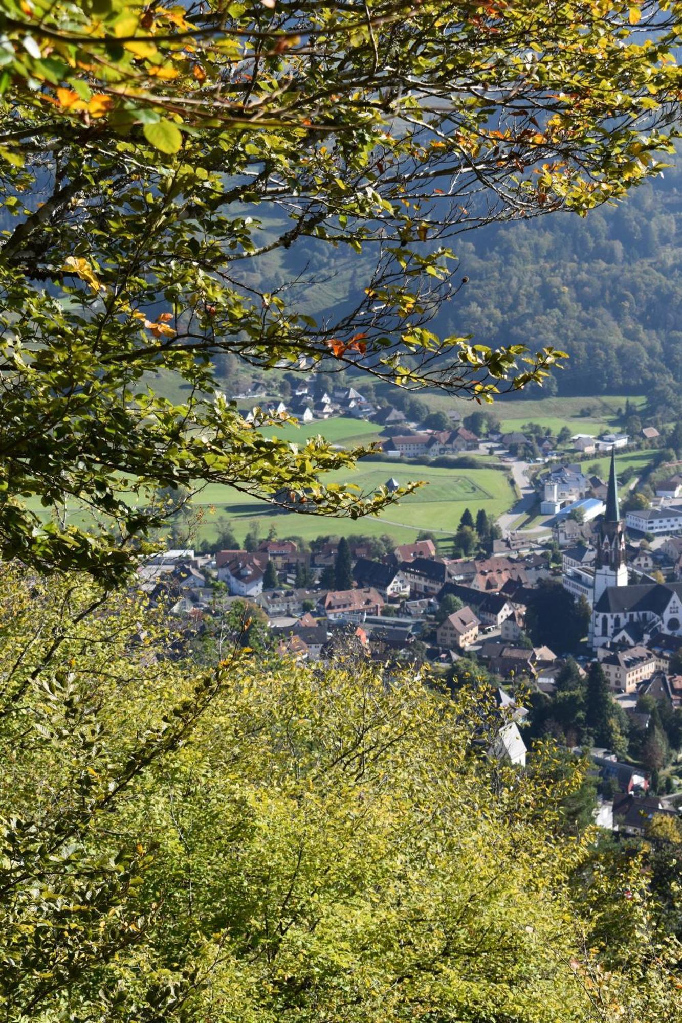 Gartenferienhaus "Annaluise" Schönau im Schwarzwald Exterior foto