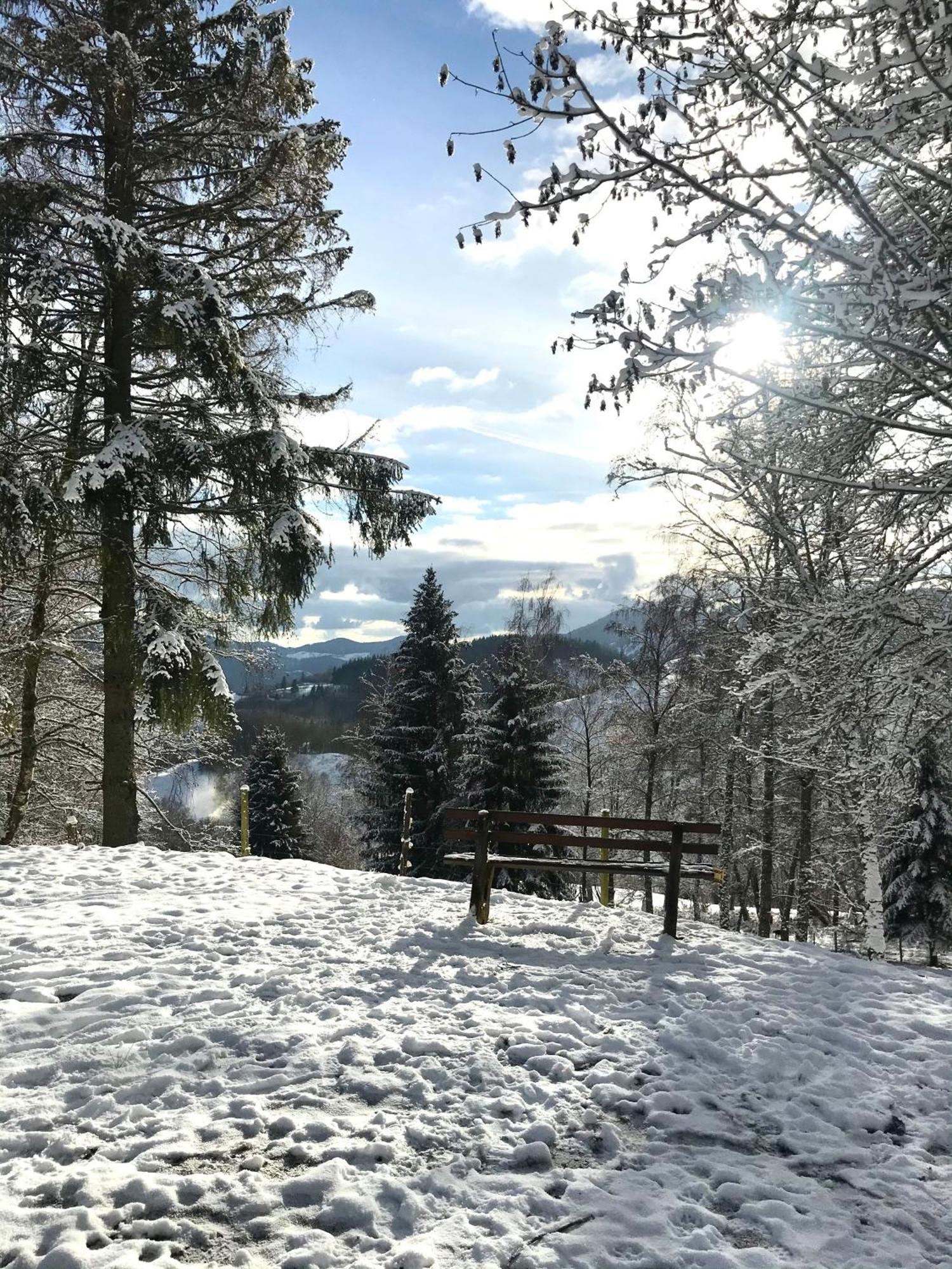 Gartenferienhaus "Annaluise" Schönau im Schwarzwald Exterior foto